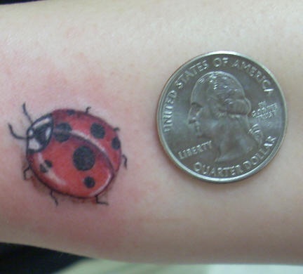 Small detailed ladybug tattoo
