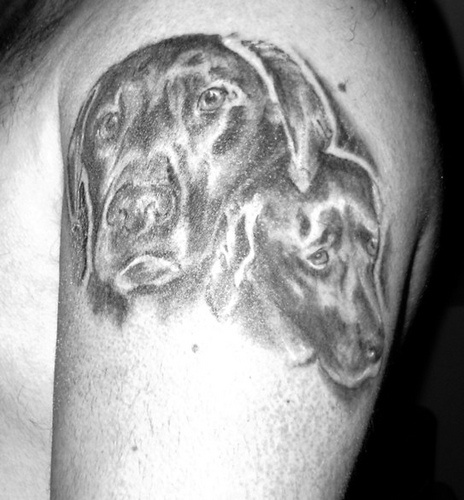 tatuaje conmemorial en blanco y negro de dos perros