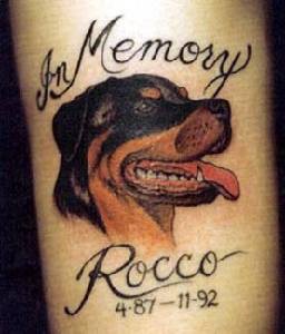 Rocco dog memorial tattoo