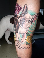 tatuaje colorido de bulldog francés con rosas