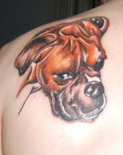 tatuaje en el hombro de colorido perro boxer