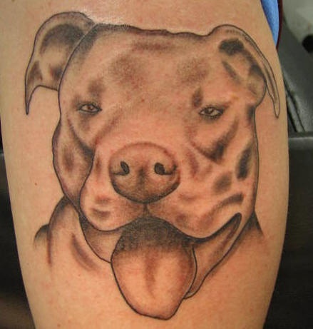 Pitbull with tongue out tattoo
