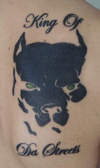 tatuaje en la espalda de pitbull Rey de las calles