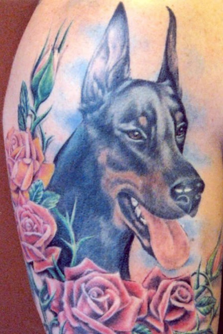 Doberman with roses coloured tattoo