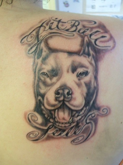 Pitbull black ink tattoo