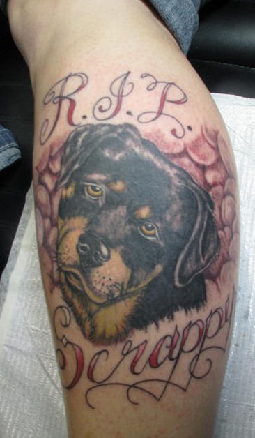 tatuaje colorido conmemorial de perro Scrappy