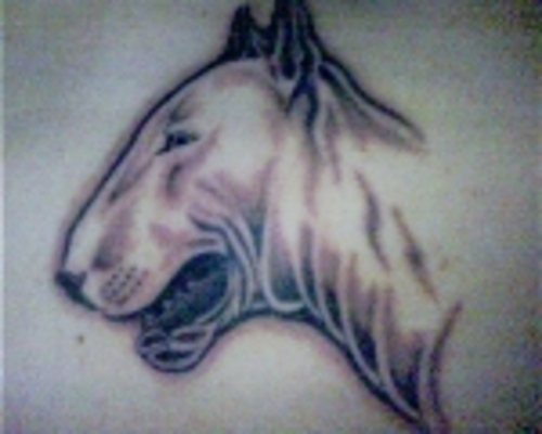 tatuaje de perfil de bull terrier blanco