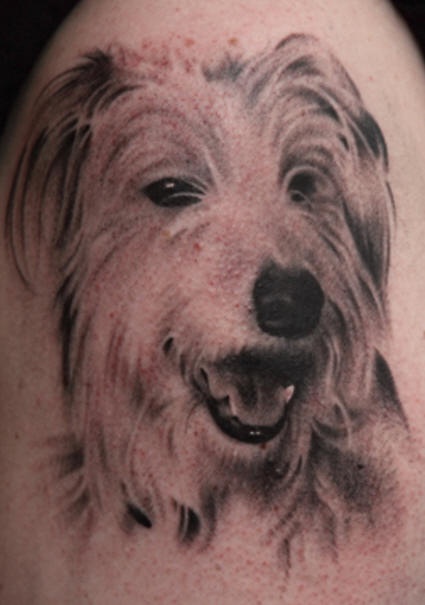 Le tatouage de portrait d&quotun chien hirsute