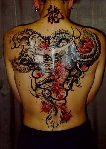 tatuaje en toda la espalda de dragón viejo sabio y sakura
