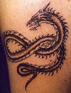 Serpent dragon black ink tattoo