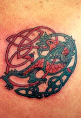 tatuaje de dragón de tribal céltico