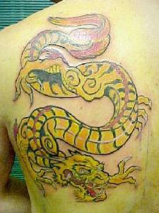 Le tatouage de dragon jaune rayé