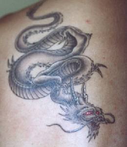 Le tatouage de vieux dragon chinois sage
