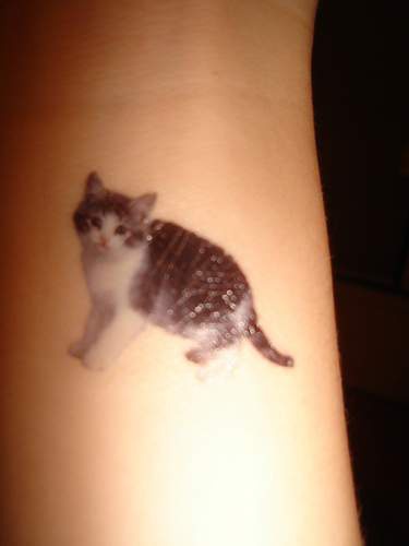 Le tatouage de chaton super réaliste en couleur