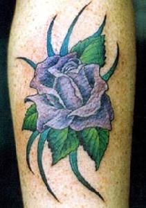 Elegant purple rose in greens