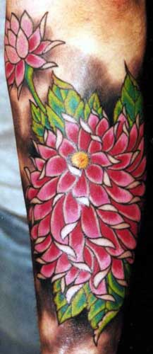 Majestic pink flowers on arm