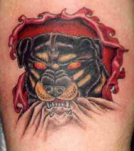Red eyed rottweiler  skin rip tattoo
