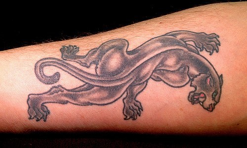 Evil,growling panther, long tail   forearm tattoo