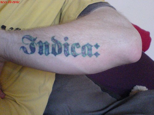 Indica, special styled inscription forearm tattoo