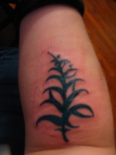 Black, thick plant of leaves forearm tattoo
