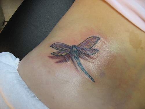 3d tatuaggio realistico di libellula