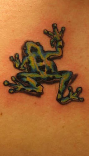 Crawling green and black dotted frog