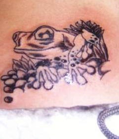 Le tatouage incomplet de grenouille sur les roches