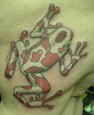White and red frog tattoo