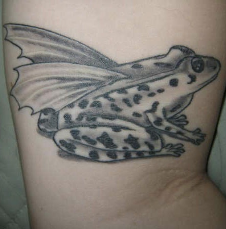 Frog with wings black ink tattoo