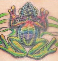 Le tatouage de grenouille cosmique en couleur