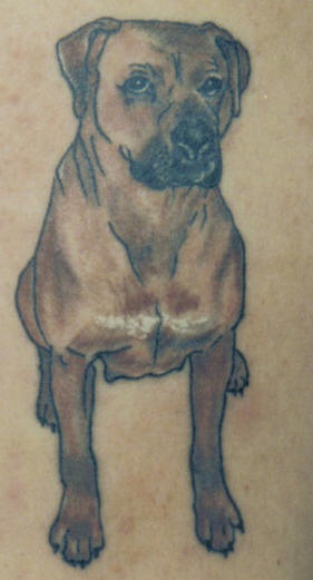 Doog boy mastiff dog tattoo