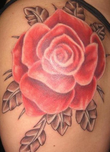 Rosa de color rojo bonito tatuaje en el hombro