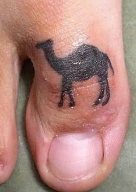 Tattoo von ungewöhnlichem Kamel an Zehe