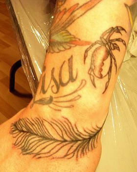 Tatuaje en la mano, pluma, araña, inscripción