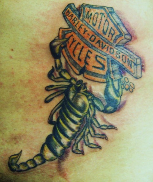 Harley Davidson logo avec le tatouage de scorpion