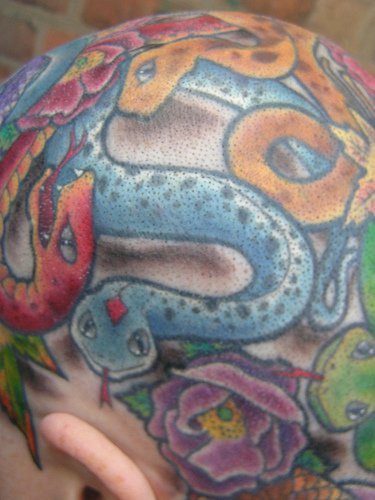 Head tattoo, many colourful  splitted snakes