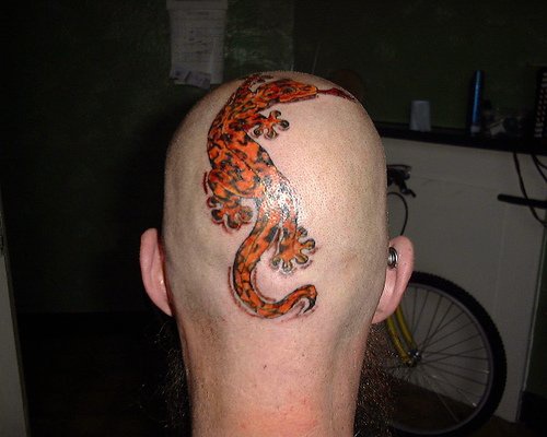 Grande lucertola colorata tatuata sulla testa