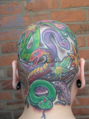 Head tattoo design, many splitted colourful snakes