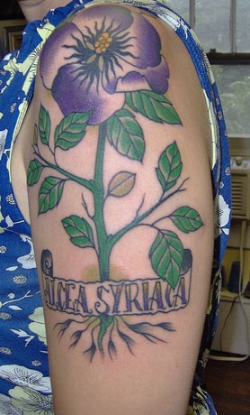 tatuaje colorido de la planta de hibisco