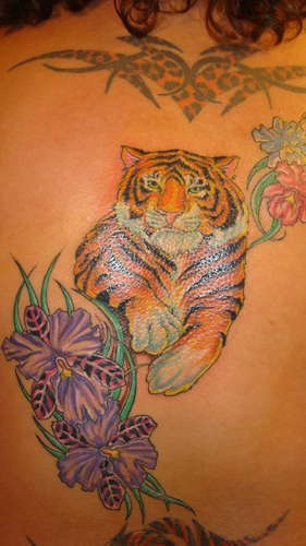 tatuaje colorido de flores de hibisco con tigre realístico