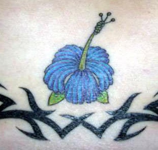 tatuaje de flor azul de hibisco con tracería tribal
