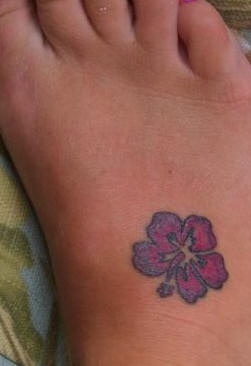 Kleiner lila Hibiskus am Fuß