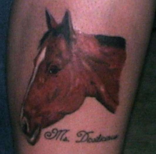 Realistic horse head tattoo