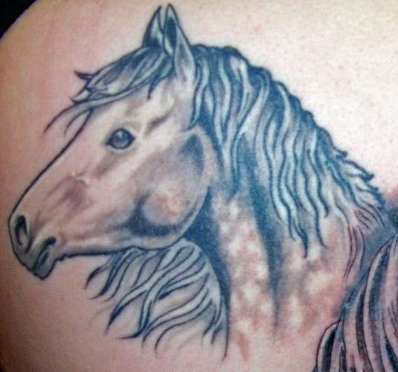 tatuaje realístico de la cabeza blanca de caballo
