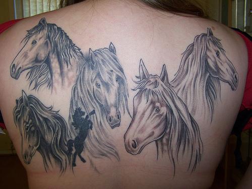 Bunch of horses on back