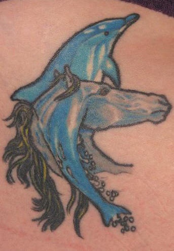 Dolphin and horse tattoo