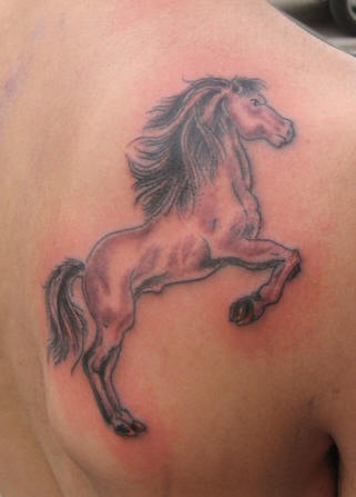 Le tatouage d&quotun jeune cheval