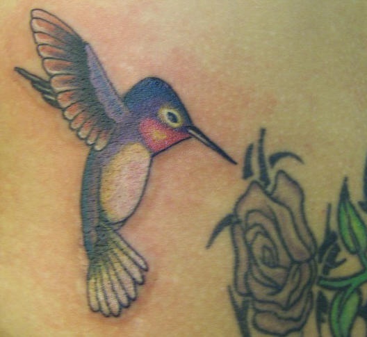 Blue hummingbird and flower tattoo