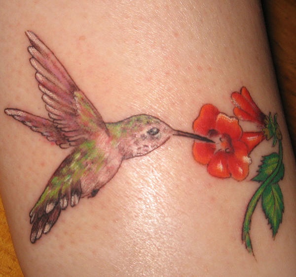 Tatuaje de un colibrí comiendo el néctar de la flor