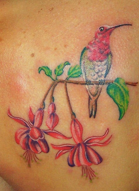 Hummingbird on exotic tree tattoo